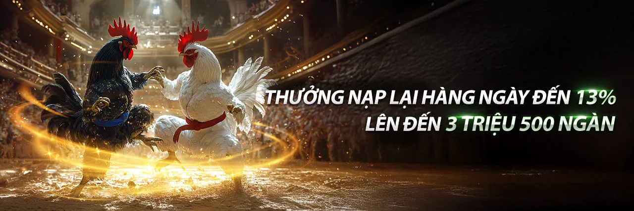 Đá Gà Bỏ 67 Hôm Nay – Sân đấu gà kịch tính